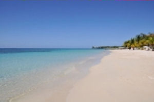 Roatan Zip Line and Beach Special